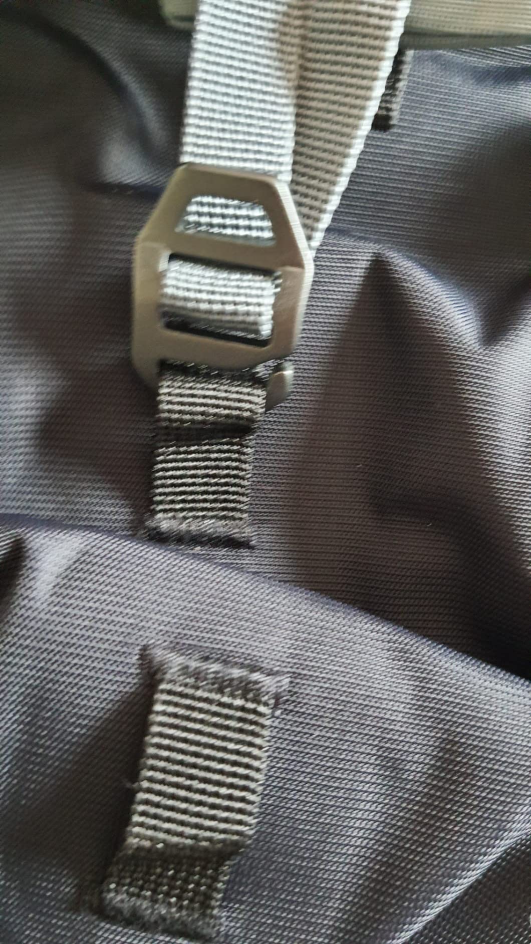 Robuster Alpiner
