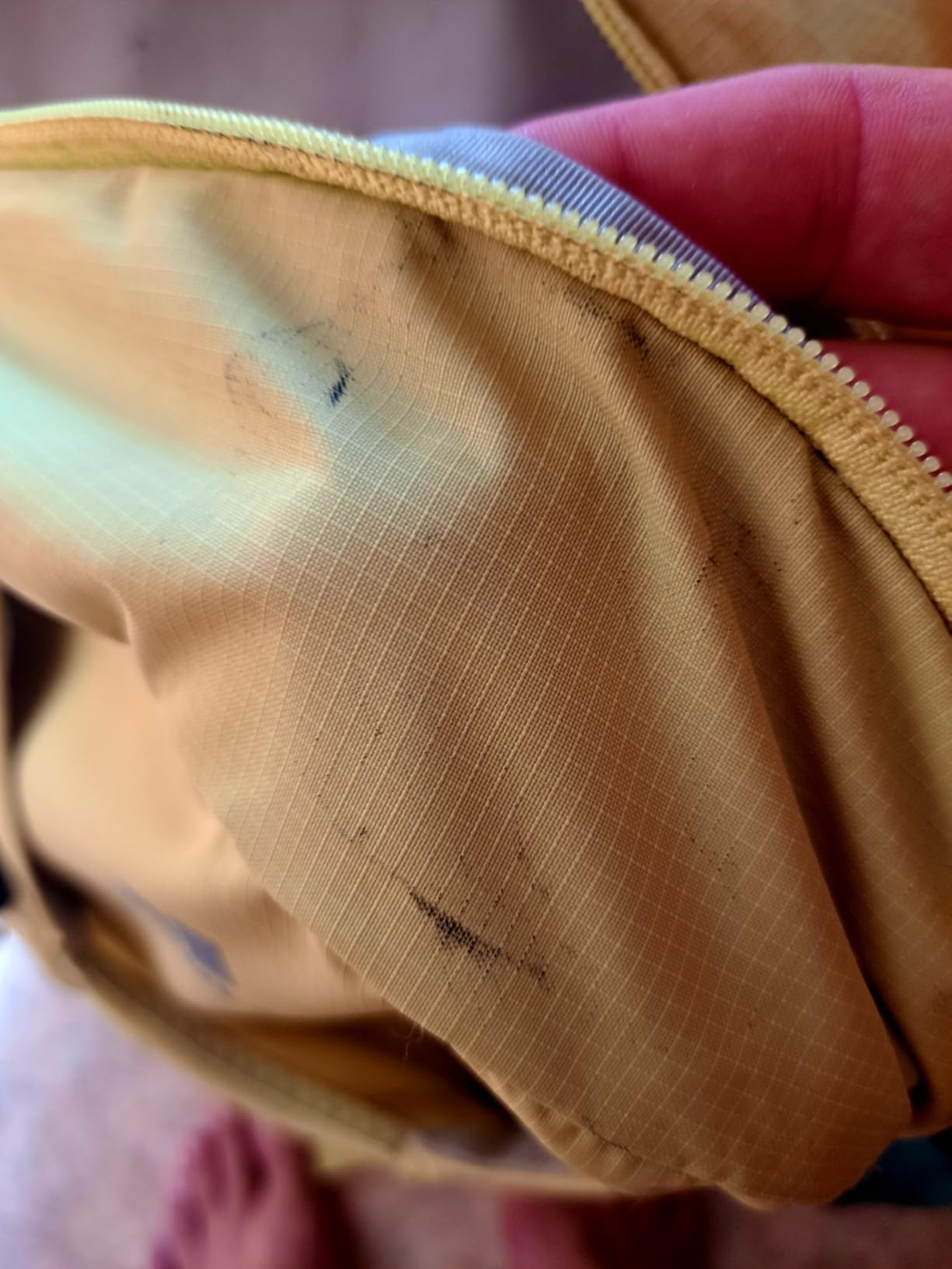 Lieblingsrucksack