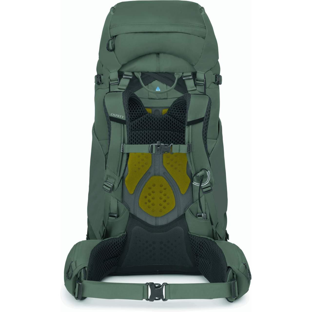 osprey-kyte-68-damen-trekkingrucksack-medium-large-68l-rocky-brook-green image 5