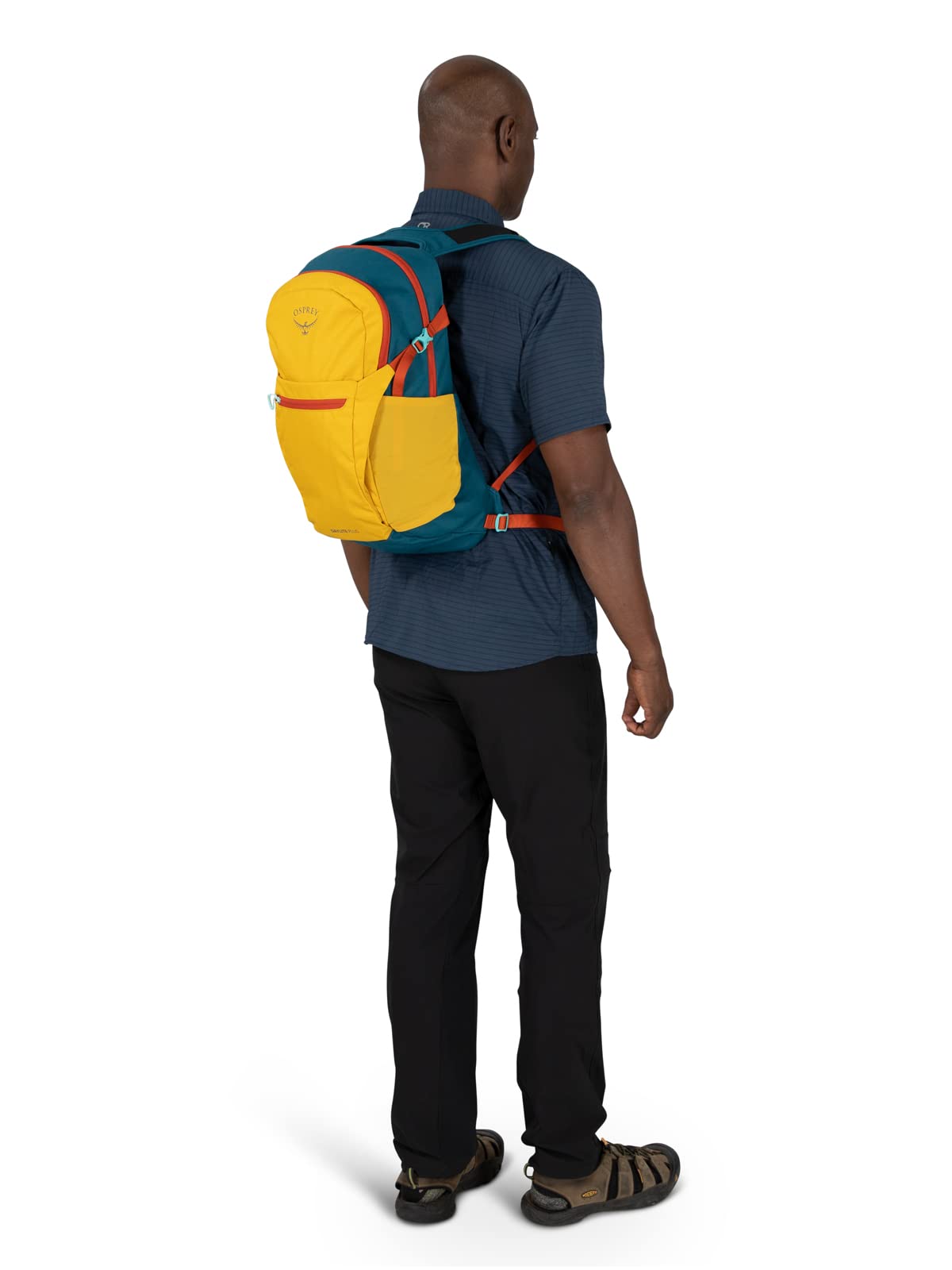 osprey-daylite-plus-lifestyle-rucksack-green-canopy-green-creek-o-s image 8